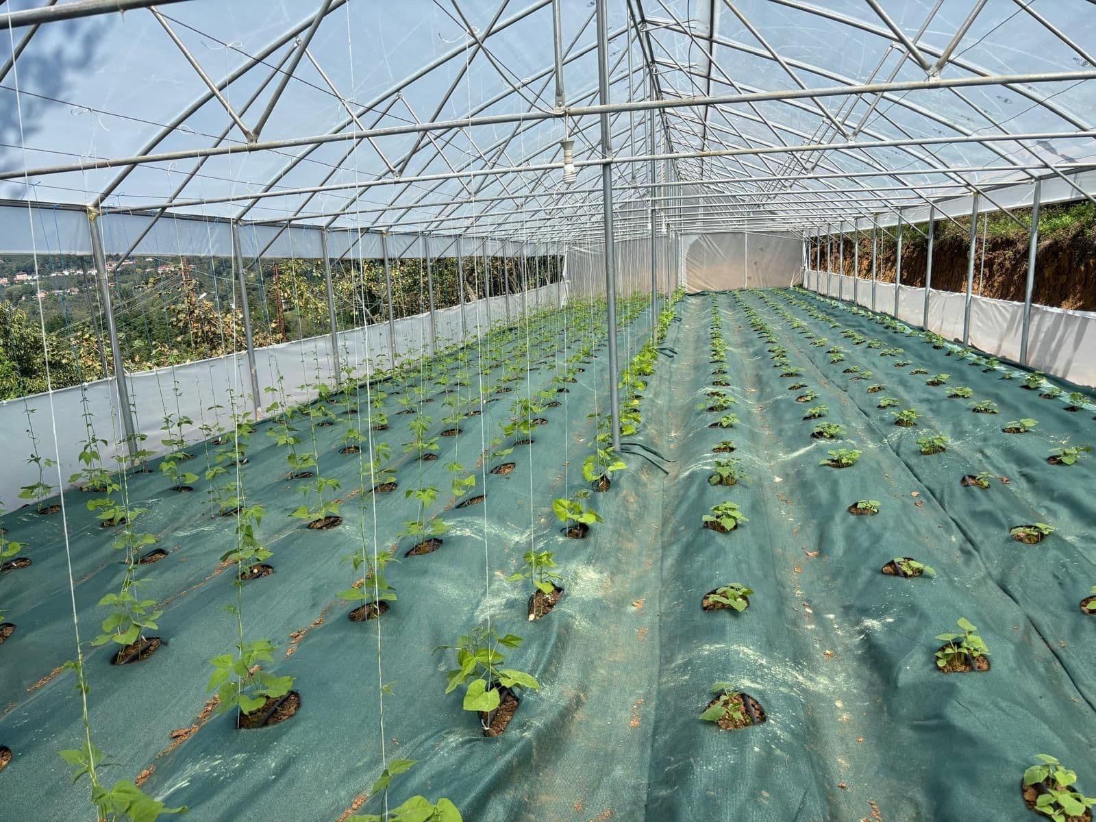 Peyzaj & Rehabilitasyon - Resim 1