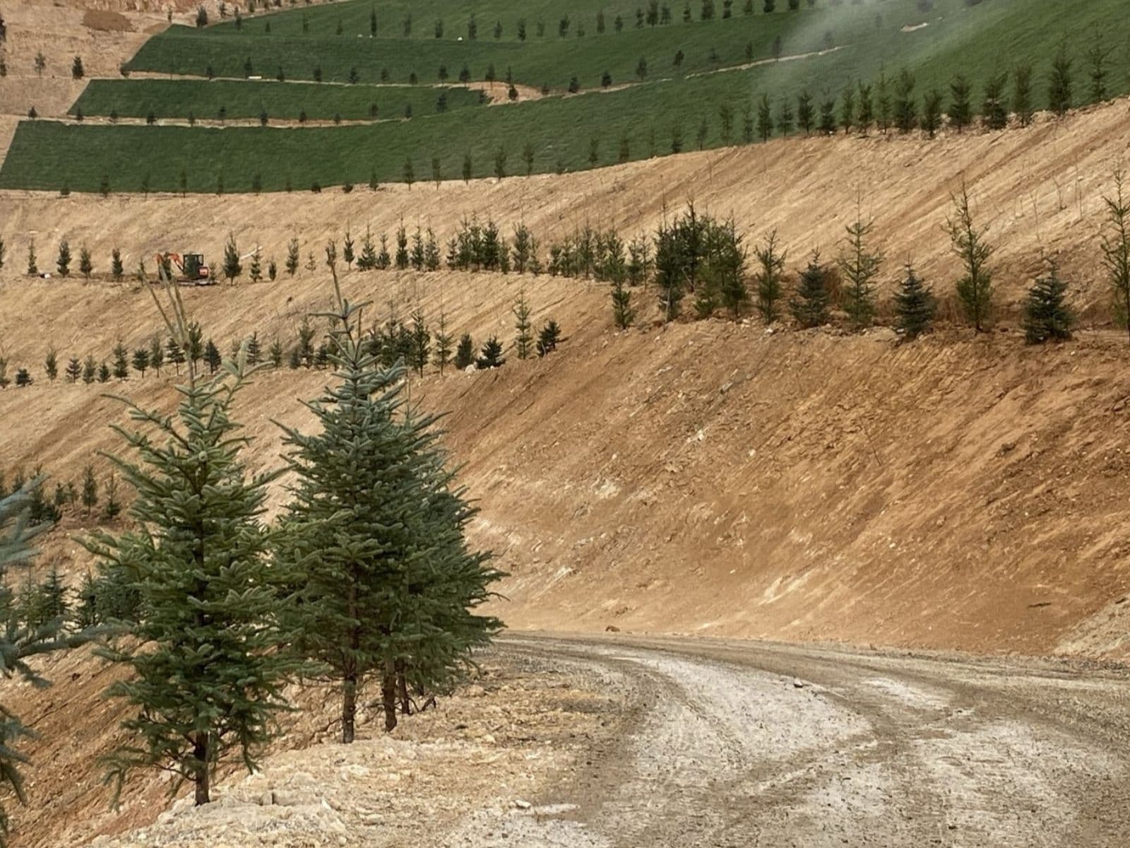 Peyzaj & Rehabilitasyon - Resim 2